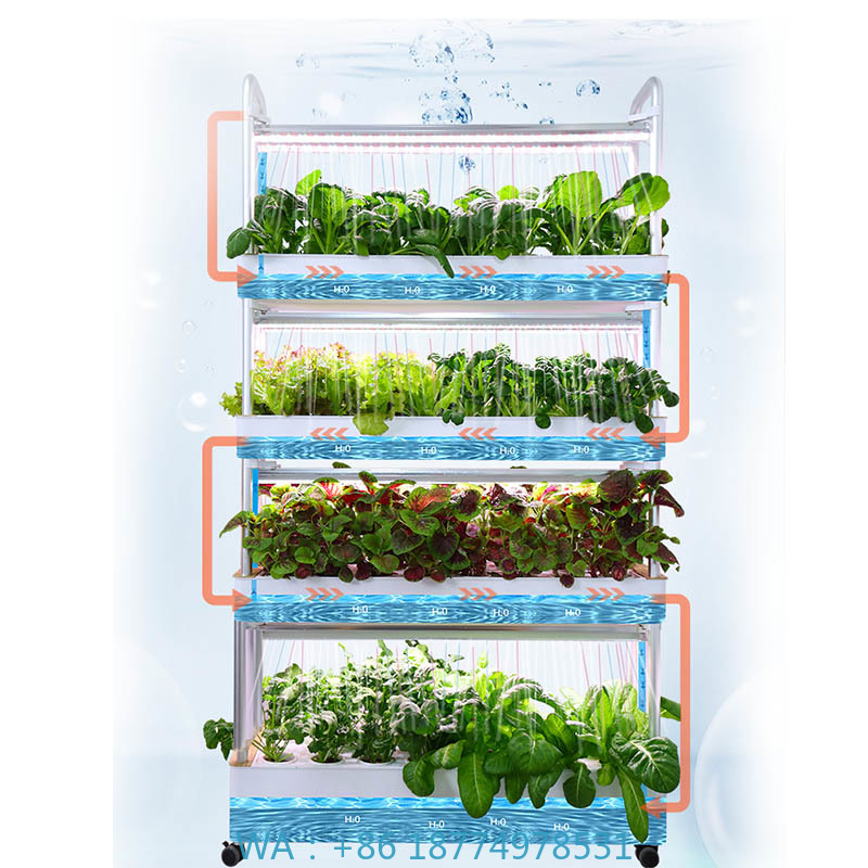 Sistema de plantación ydroponi - Diy Automation reseña y precio