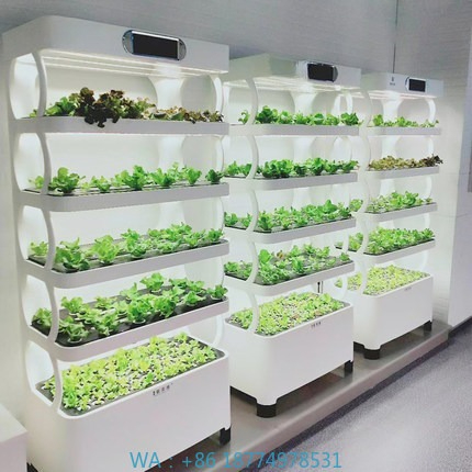Sistema de cultivo automatizad - Home Automation System Diy reseña y precio